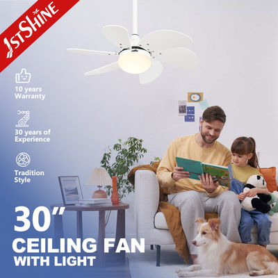 1stshine 天井扇風機ライト 白い刃と6速 110-240V/50Hz-60Hz 入力電圧